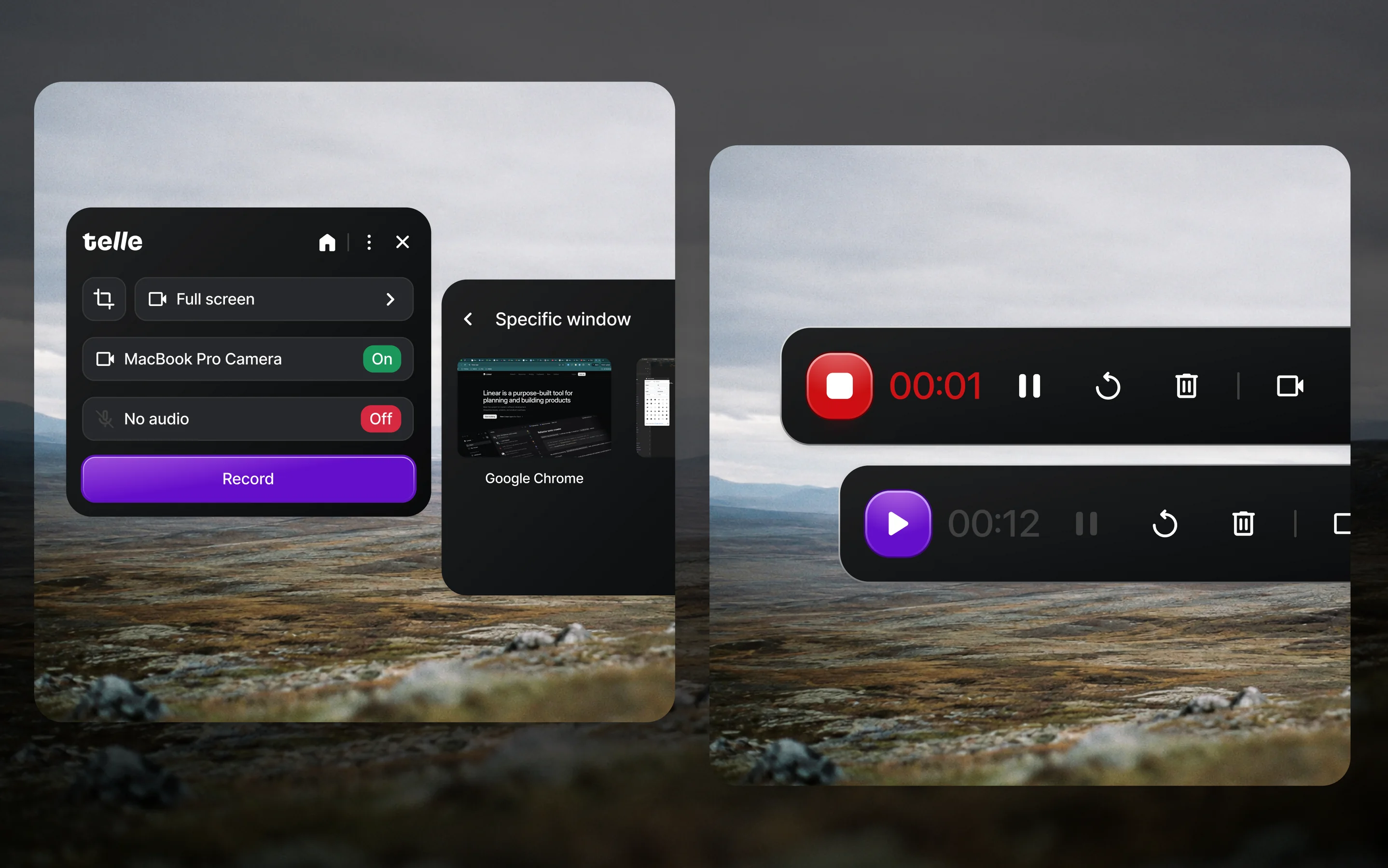 Telle recorder settings and recording controls