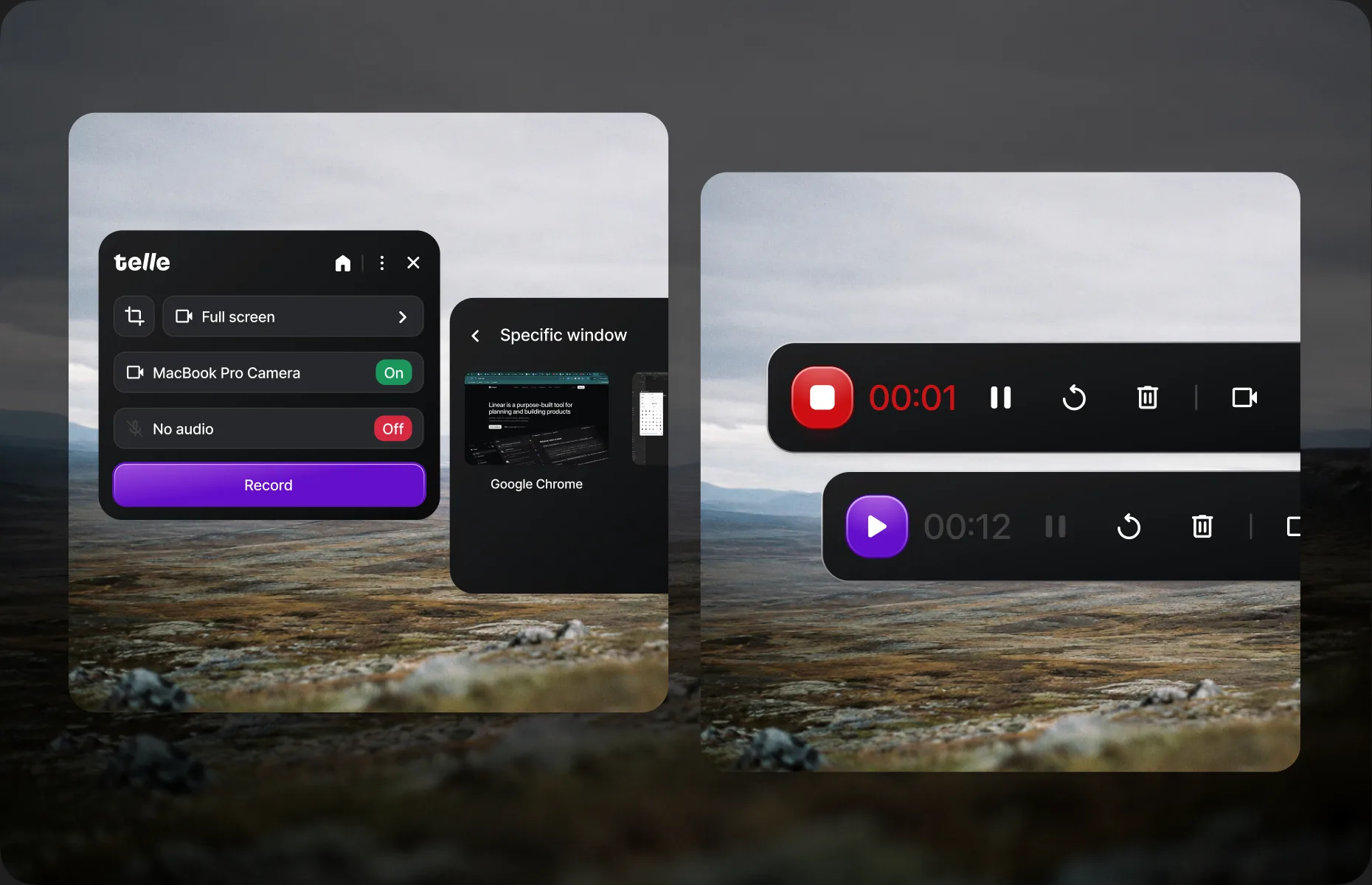 Telle recording controls and window picker